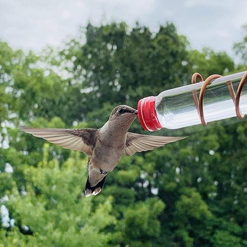 Garden Bird Feeder