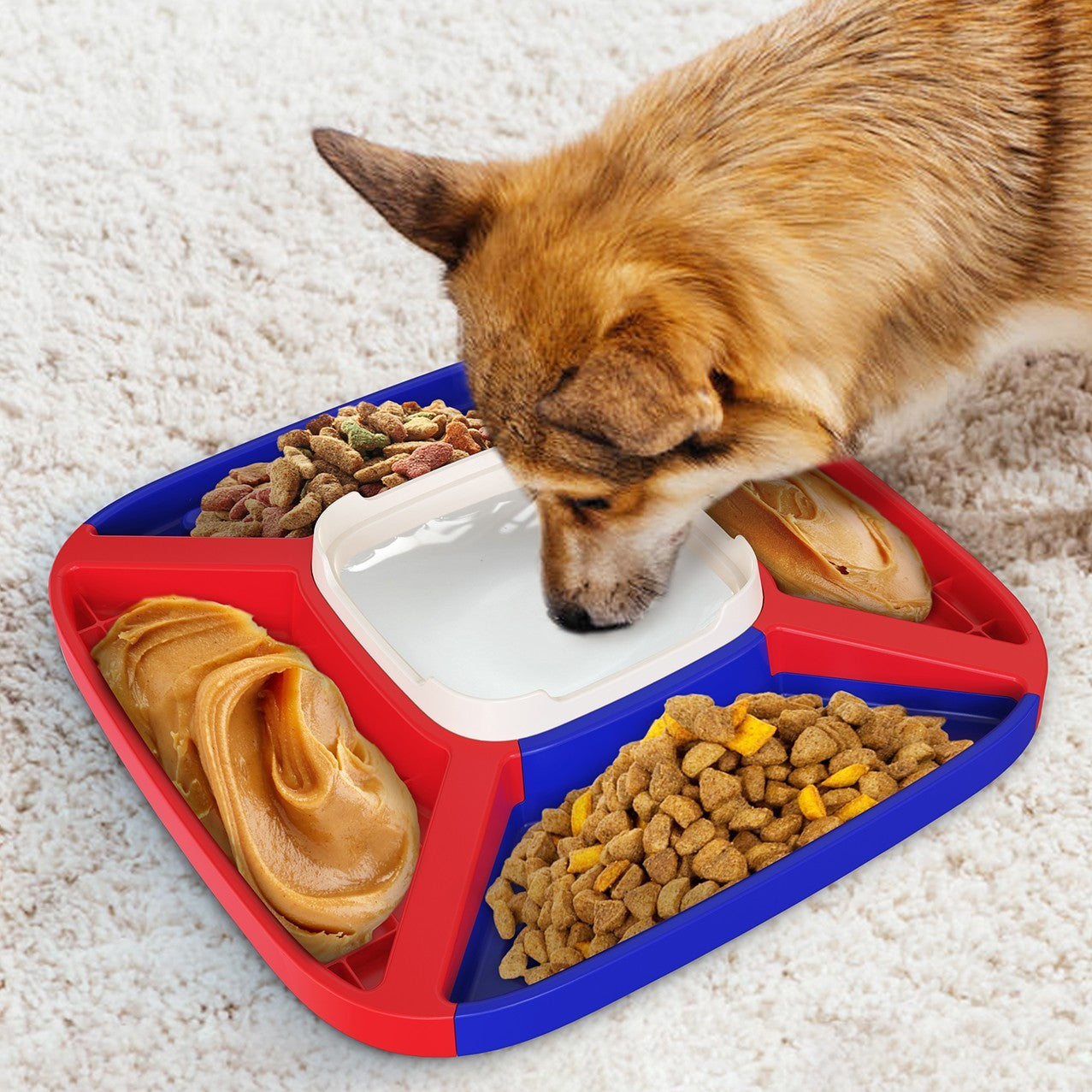 Dog Automatic Feede
Dog Automatic Feeder
Programmable Dog Feeder
Smart Dog Feeder with App
Portion Control Dog Feeder
Automatic Pet Feeder for Dogs
Wi-Fi Dog Feeder
Voice Recording Dog Feeder
Large Capacity Dog Feeder
Dog Feeder with Timer
Battery Backup Pet Feeder