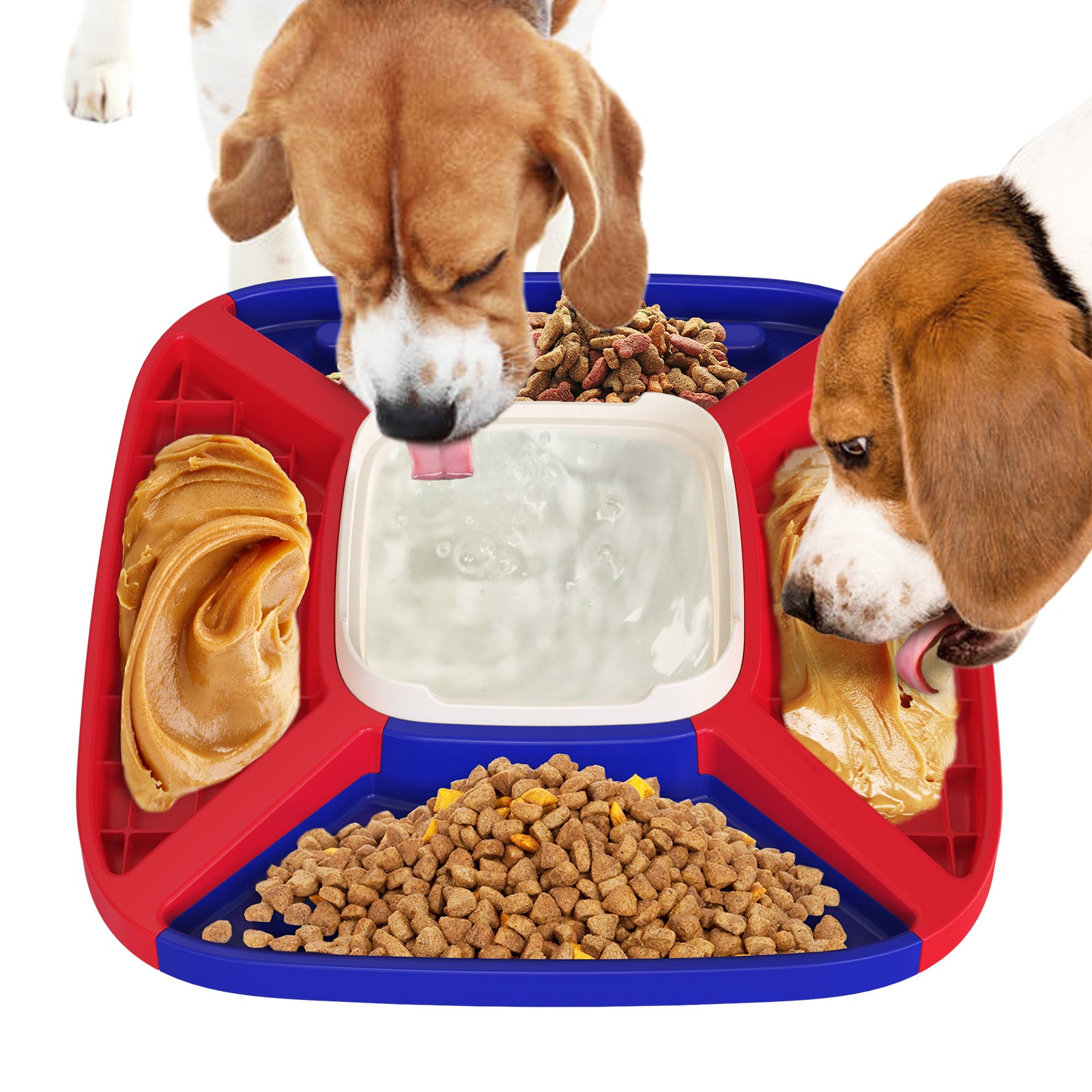 Dog Automatic Feeder