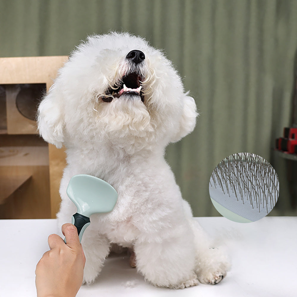 Pet Grooming Kit