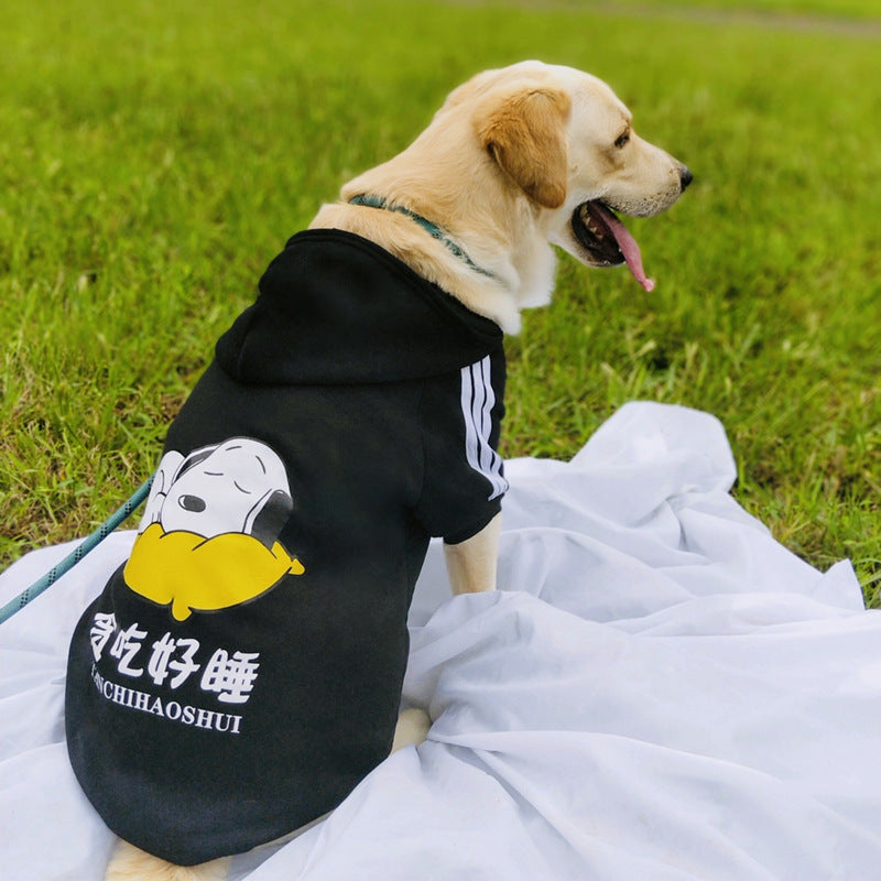 Labrador dog clothes
Large dog apparel
Labrador sweater
Winter coat for Labradors
Large breed dog clothes
Labrador raincoat
Big dog t-shirts