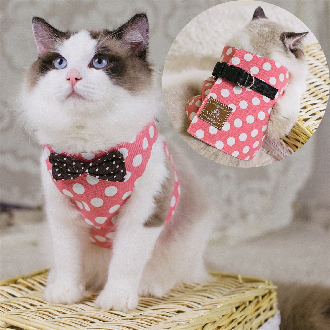 Vest-style Chest Cat
Cat chest harness
Vest-style cat harness
Comfortable cat harness
Cat walking chest strap
Adjustable cat vest harness