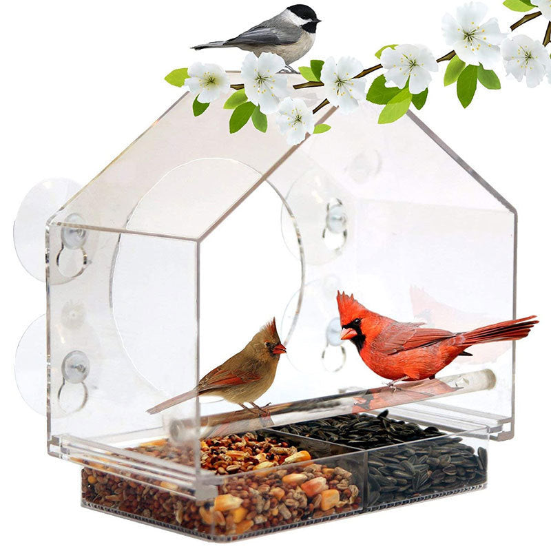 Camera live bird  Bird feeder  Live bird feeder camera  Bird feeder with camera  Wildlife camera feeder  Bird watching camera  Smart bird feeder  Outdoor bird feeder camera  Bird feeder live stream  Bird feeder cam