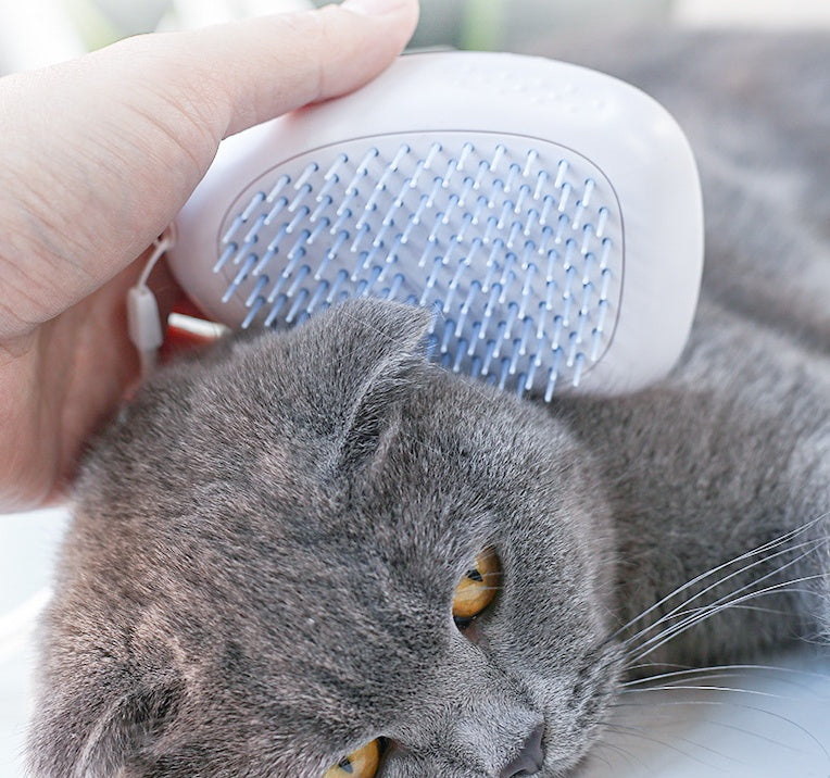 Brush cat hair  White cat brush  Cat hair brush  Pet grooming brush  Cat grooming tool  White pet brush  Cat fur brush  Shedding brush for cats  Cat hair removal brush  Soft bristle cat brush  Cat detangling brush